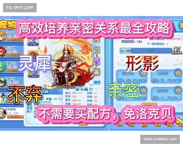 多哥冒险之旅全面解析洛克王国新手必看玩法与高效通关实用攻略指南 多哥冒险之旅全面解析洛克王国新手必看玩法与高效通关实用攻略指南