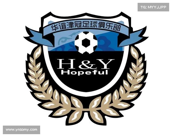 从足协标识与队徽差异解析中国足球文化与管理理念的深层原因