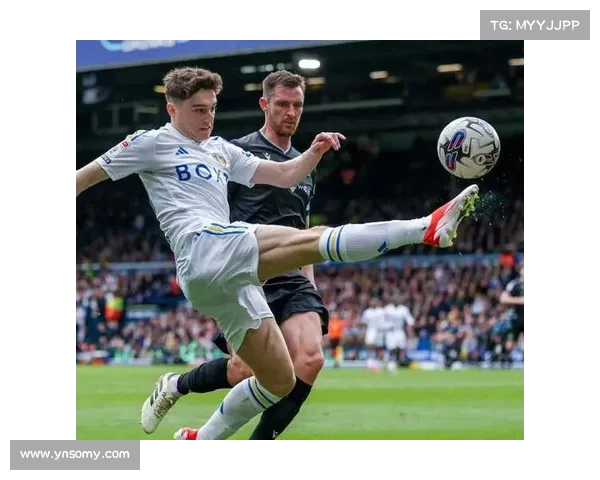 从多维角度分析如何有效判断英冠足球比赛的真实性与可靠性