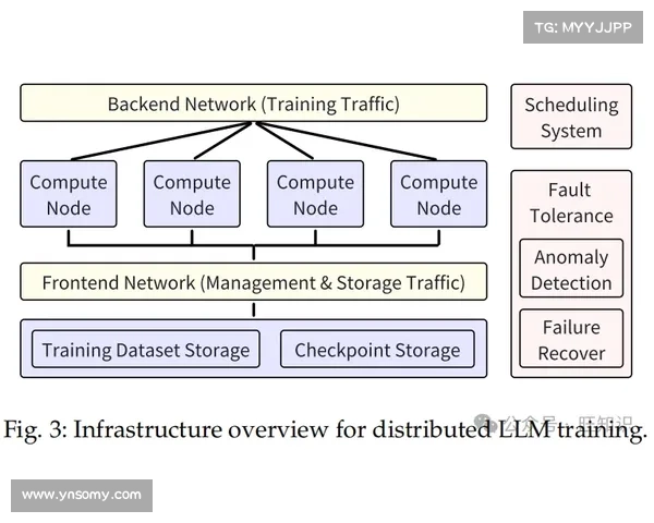 巴舒亚伊的语言沟通方式与背景分析