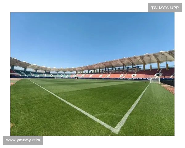 建业俱乐部的性质与发展：从地方性足球队到职业俱乐部的转型与挑战